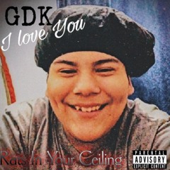 Rats In Your Ceiling