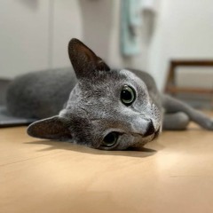 アメリカの連続ドラマを見てるうちに人生は終わる///Life goes on while I'm watching American serials