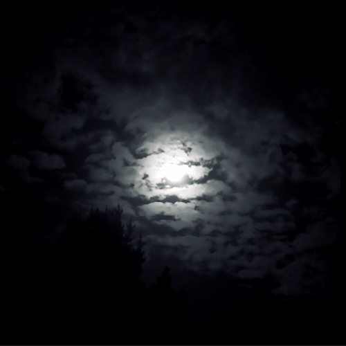 Dance with the devil