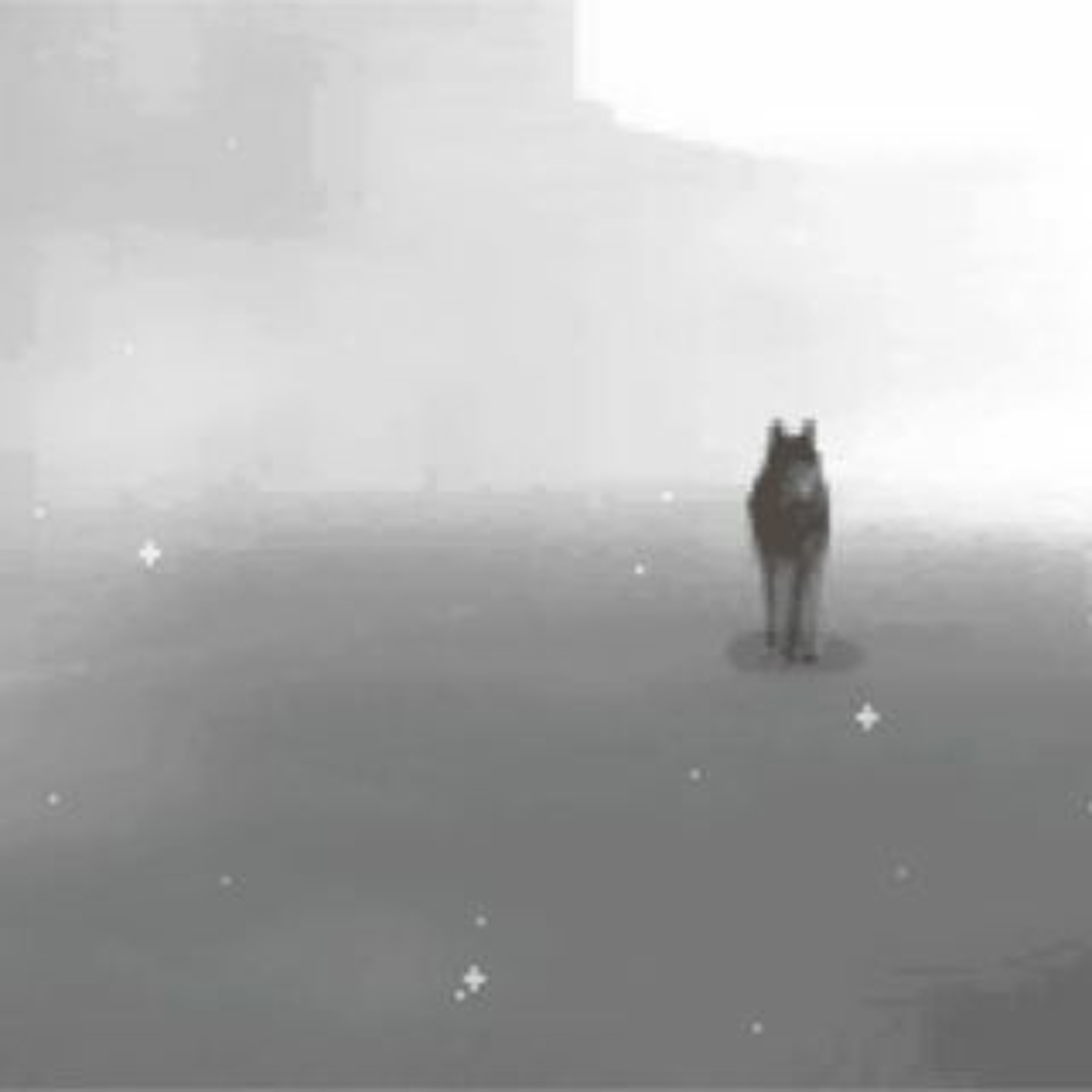 Dog4vr episode artwork