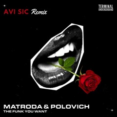 Matroda & POLOVICH - The Funk You Want (Avi Sic Remix)