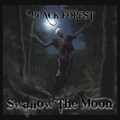 Swallow The Moon - Black Forest (song)