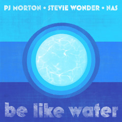 Be Like Water (feat. Nas & Stevie Wonder)