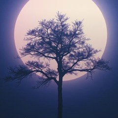 4️⃣-echoes-of-love(-country) 3.mp3