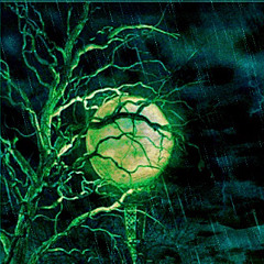 Took Ur Gurl Mastered