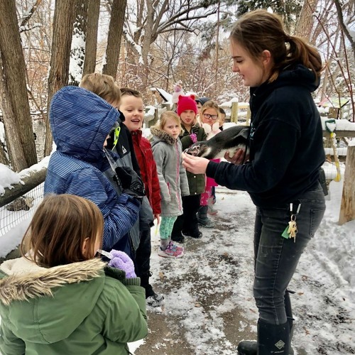 Stream episode Idaho Falls Zoo Winter Camps by BYU-Idaho Radio podcast |  Listen online for free on SoundCloud