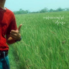 တန်ဖိုးမဲ့သော ရင်ခွင် // KO ROAR