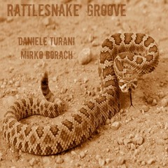 Rattlesnake Groove (feat. Daniele Turani)