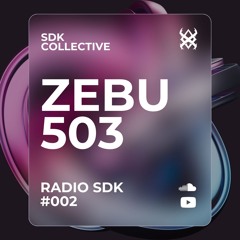 SDK RADIO #002: ZEBU 503 "LET'S GET EMOTIONAL"