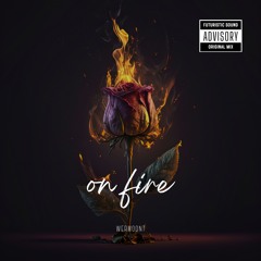 Wermoont - On fire (Original Mix)