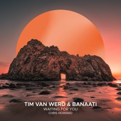 Tim van Werd & Banaati feat. Chris Howard - Waiting For You