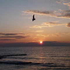 Hedley-Perfect (lovely Piano)