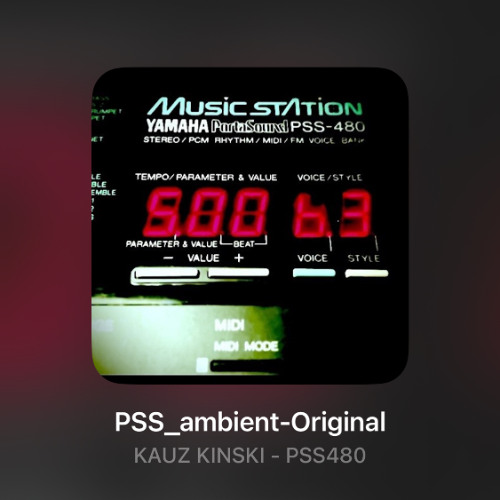 PSS_ambient-Original