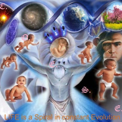 family tree