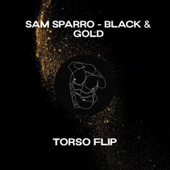 Sam Sparro - Black & Gold (torso flip)
