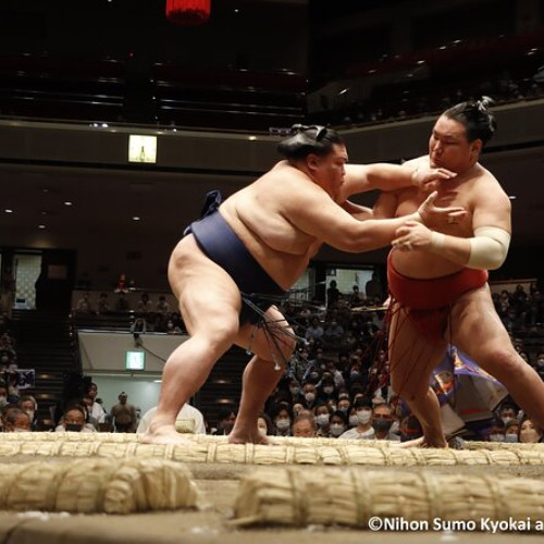 Review Top Tokyo Grand Sumo Tournament Viewing Tour with Tickets