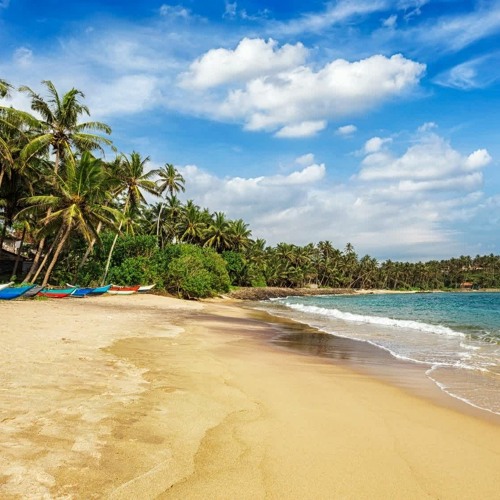 Sri Lanka - Schnapper & co.
