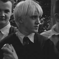 stop what the hell are you talking about?