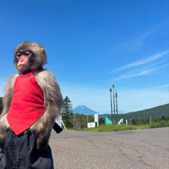 Nước hoa minh béo