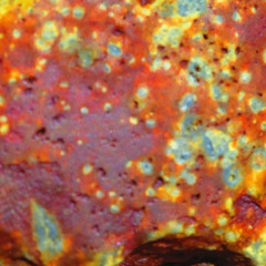 PYD - Metamorfosis - Album Fayaté