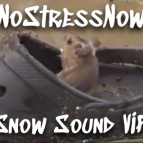 Snow sound VIP