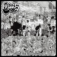 11 - Haggus - Disgust And Abuse