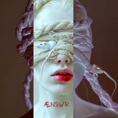 Æ.Æ - ÆNSWR