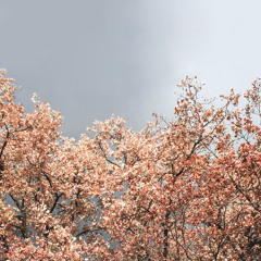 백예린 (Yerin Baek) - I'll be your family! (cover)