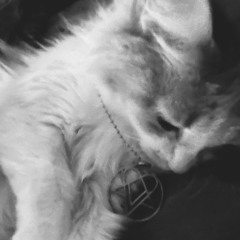 Losing me (spen danji)