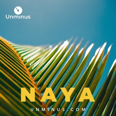 Naya | Tropical Chilled House