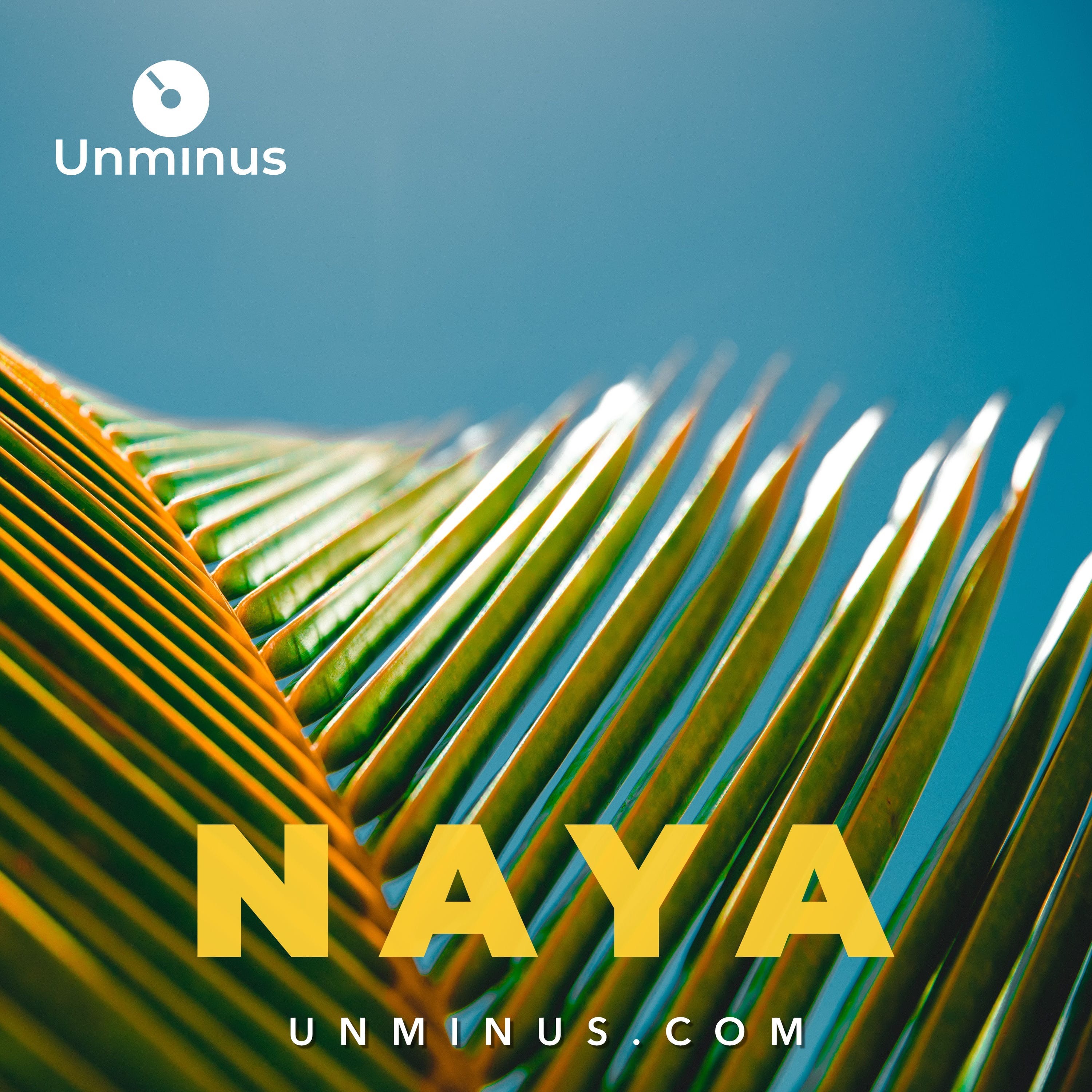 Free Premium Music for Everyone