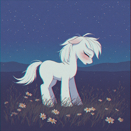 Sunset Tears on Velvet Hooves