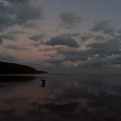 what i wish you wouldve told me that night - demo