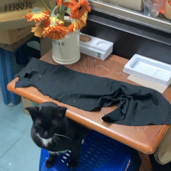 แม่ ห้องพระ กดปิดพัดลม ร้องเท่าที่นึกออก