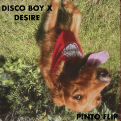 D!SCO BOY X DESIRE (P!NTO FLIP)