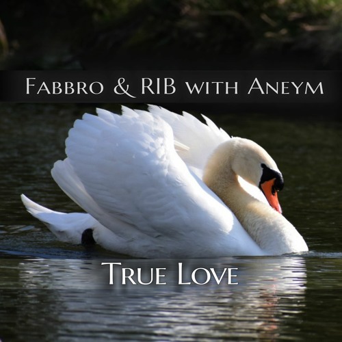 Fabbro & R.I.B with Aneym - True Love (Radio Edit)