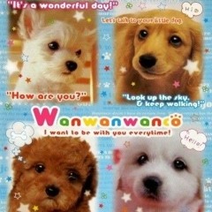 Meet a Friendly Dog - Nintendogs