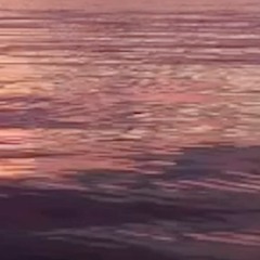 micro mood tunes // 8:55