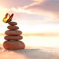 Dj Trinity @ Harmonic festival 2018