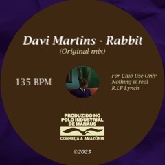 Rabbit (Original Mix)