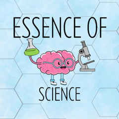 Decomposition - Essence of Science