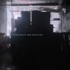 distorted diary w/ jonas meurer-lunde
