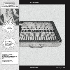 initial impulse "Buchla Music Easel meets MonoPoly"(bass mixxx)