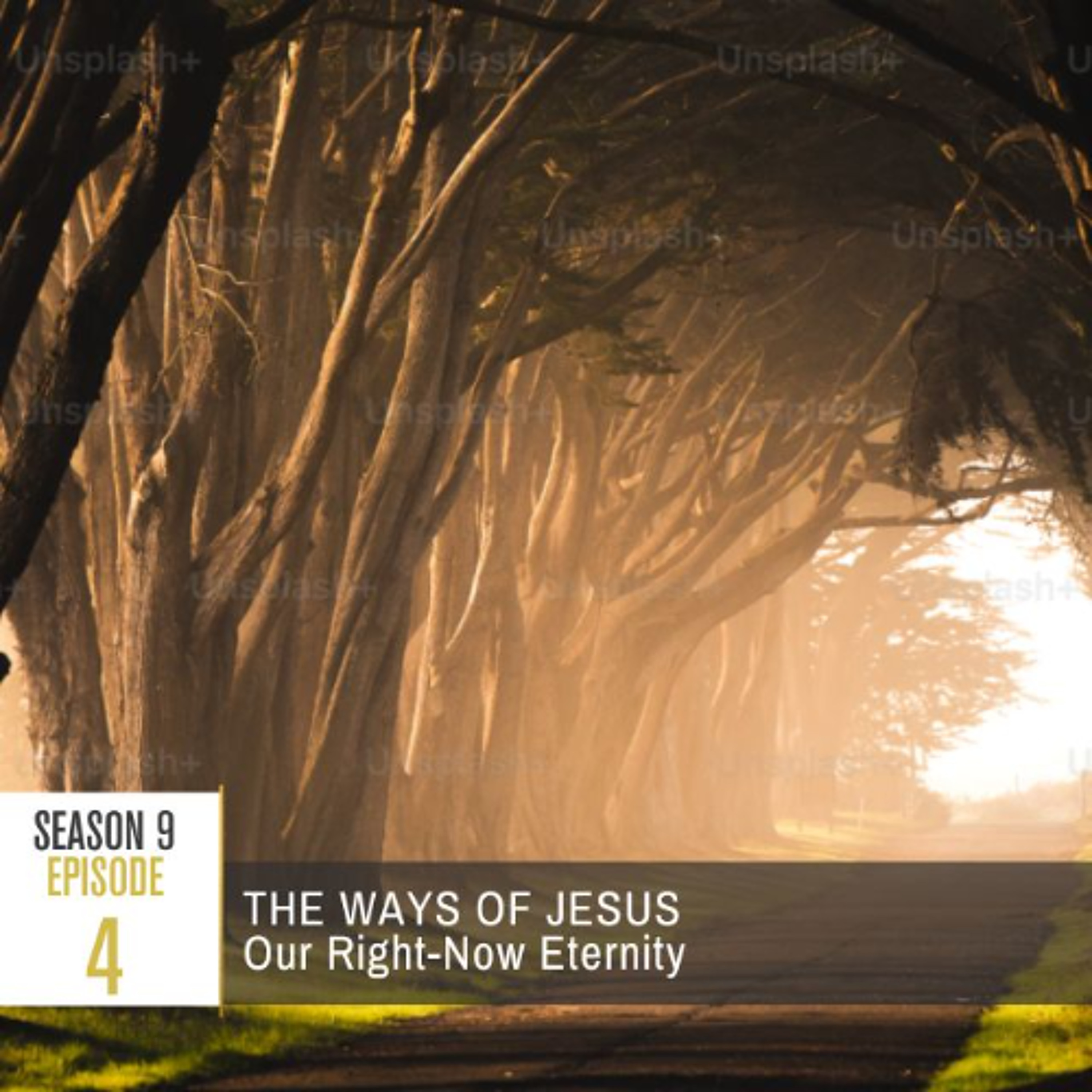 Paying Ridiculous Attention to Jesus