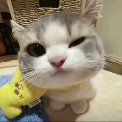 Đông Phai Mờ Dáng Ai - Remix