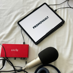 New Tools for Artists & Labels: Torchy ($5 Hypeddit Alternative) + PromoVault (Promo sendouts)