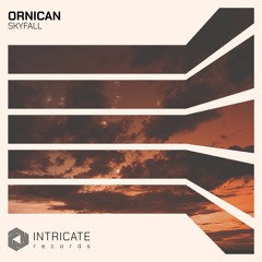 ORNICAN - Skyfall (Original Mix Edit)