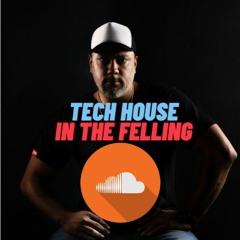 Tech House In The Felling