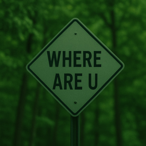 Are You There