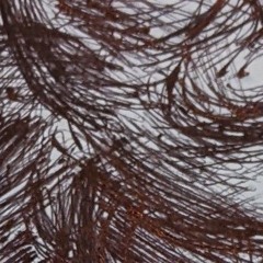 actually goes kinda hard so I guess I'll upload it